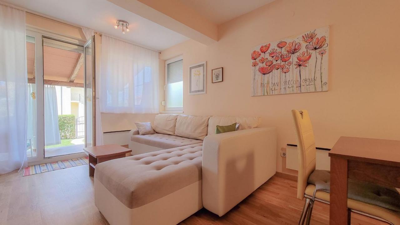 Apartmán Roko Novigrad Istria Exteriér fotografie